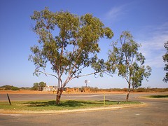 IMGP0272
