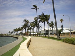 IMGP0282