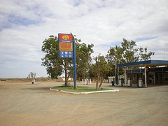 IMGP0306
