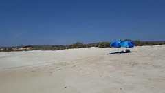 IMG_5042