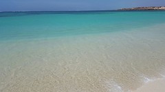 IMG_5048