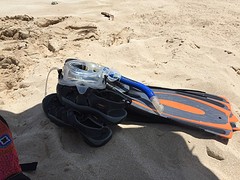 IMG_5059_2