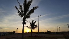 IMG_5120