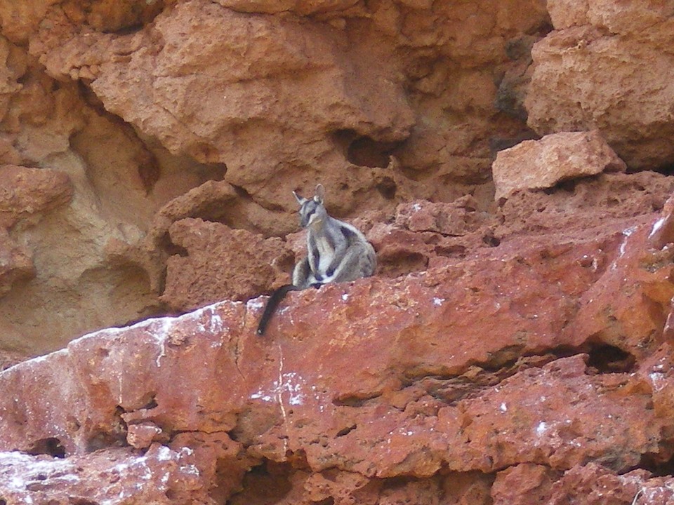 IMGP0386