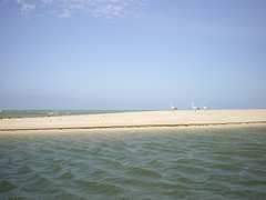 IMGP0413