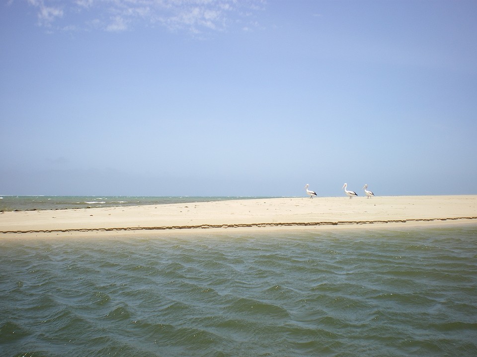 IMGP0413
