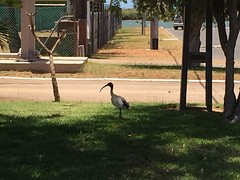 IMG_5135