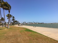 IMG_5148