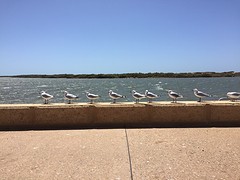 IMG_5150_2