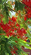 IMG_5152