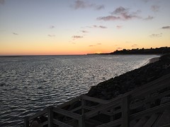 IMG_5245