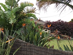 IMG_5286_2