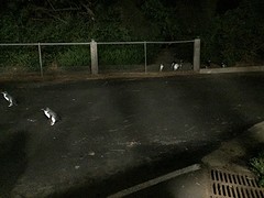 IMG_5312