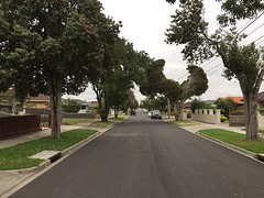 IMG_5323
