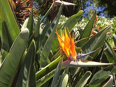 IMG_5345