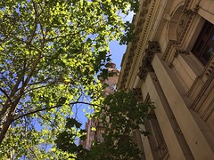 IMG_5372