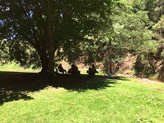 IMG_5565
