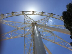 IMG_5692