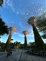 supertreegrove