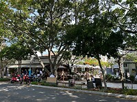 Hastings Street
