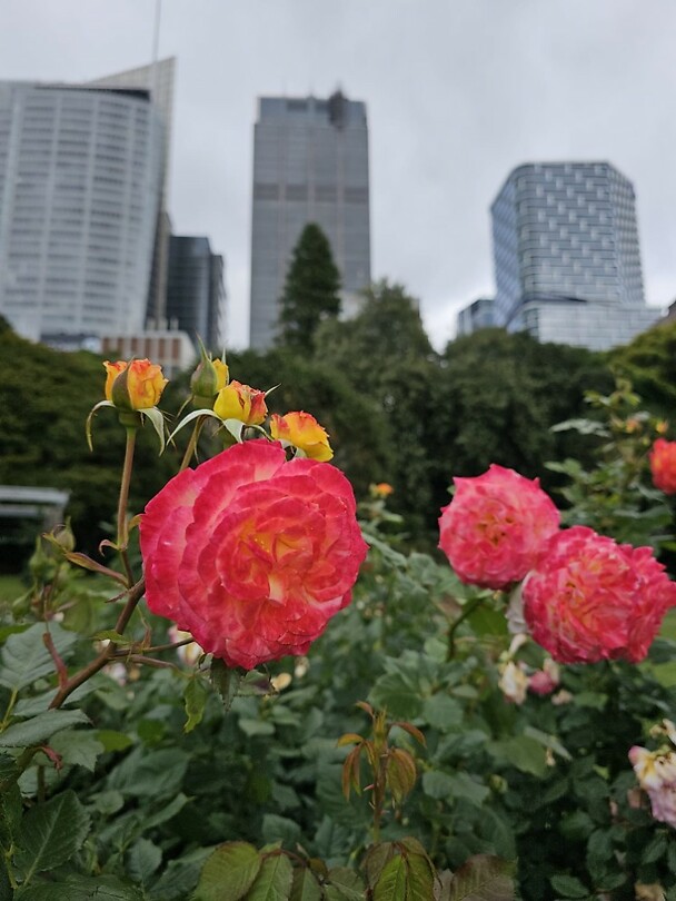 Botanic Garden