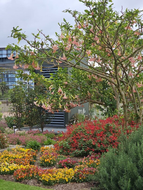 Botanic Garden1