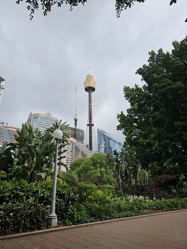 Sydney Tower