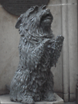 talking dog QVB
