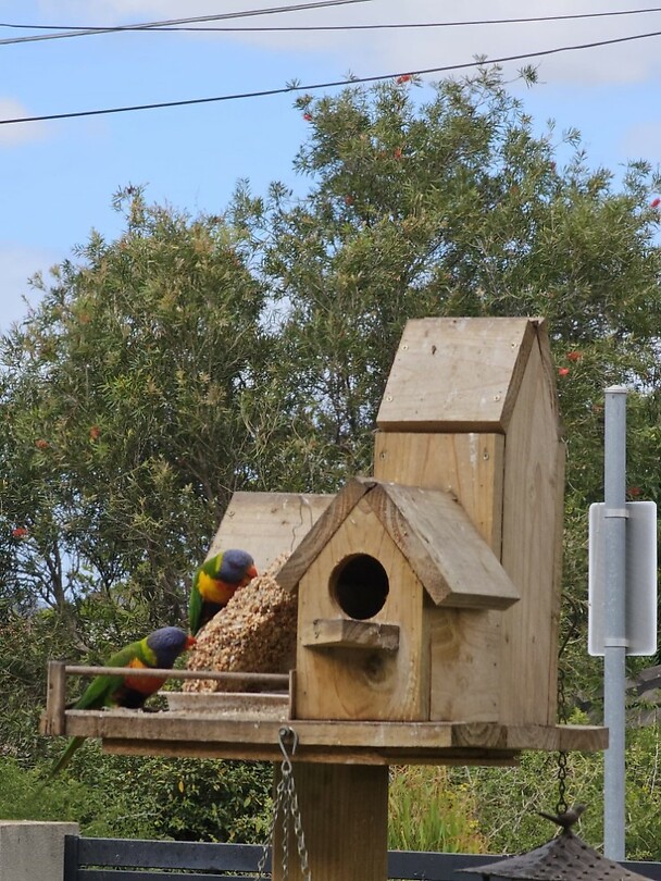 rosella's