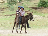 IMG_1192