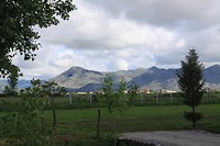 IMG_3553
