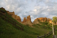IMG_4211