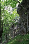 In Sutjeska National park