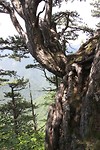 IMG_4251