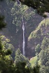 IMG_4256