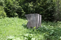 IMG_4263