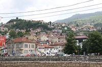 IMG_4393