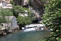 Buna