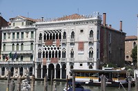 IMG_4562