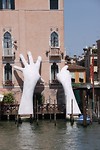 IMG_4565