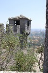 IMG_4655