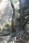IMG_4662