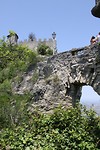 IMG_4667