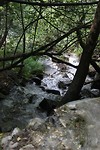 IMG_4763
