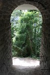 IMG_4767
