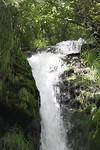 IMG_4770