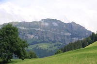 IMG_4801