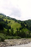 IMG_4806