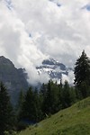 IMG_4851