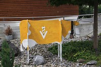 Dit is een duidelijk bord van de dierenkliniek